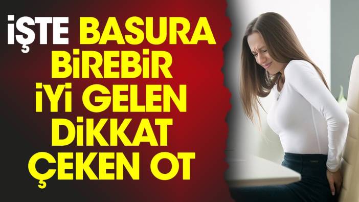 İşte basura birebir iyi gelen dikkat çeken ot