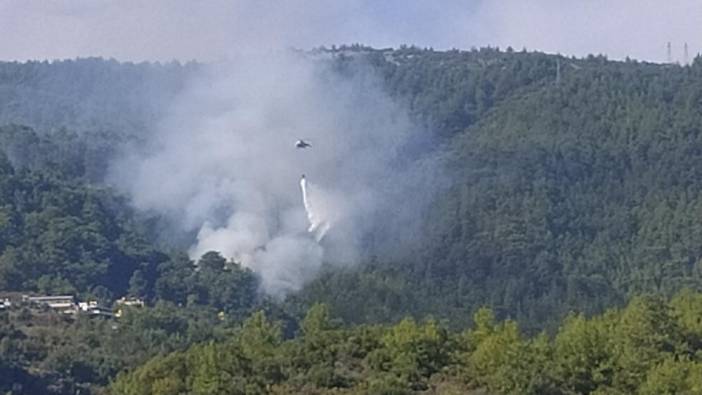 Alanya’da orman yangını çıktı