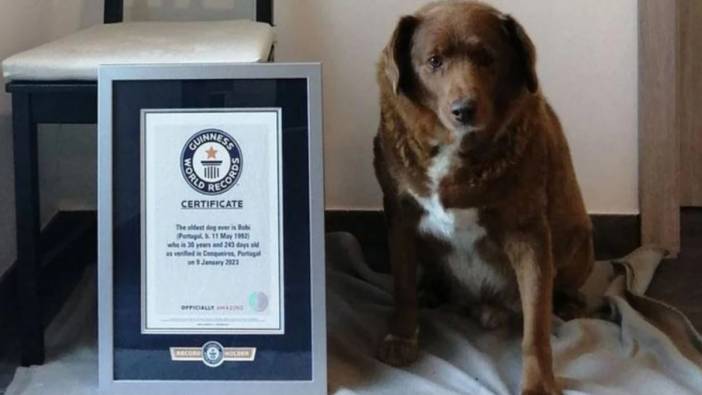 Dünyanın en yaşlı köpeği Bobi, 31 yaşında öldü
