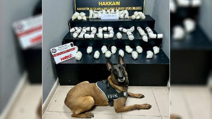 Narkotik köpeği 'Işık'  14 kilo 620 gram uyuşturucu ele geçirildi