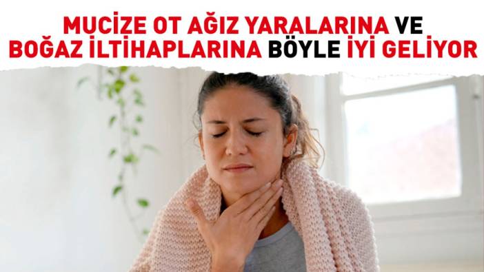 Mucize ot ağız yaralarına ve boğaz iltihaplarına böyle iyi geliyor