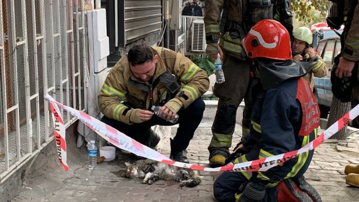 Yangında mahsur kalan kediyi itfaiye kurtardı