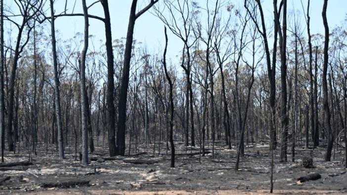 Avusturalya’da orman yangını: 2 ölü