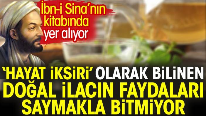 İbn-i Sina’nın kitabında yer alıyor. ‘Hayat iksiri’ olarak bilinen doğal ilacın faydaları saymakla bitmiyor