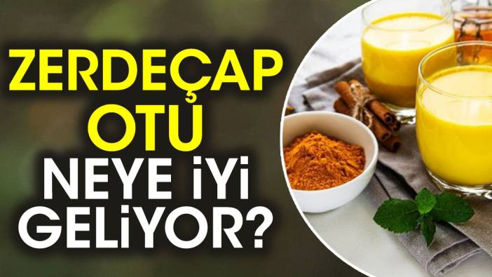 Zerdeçap otu neye iyi geliyor?