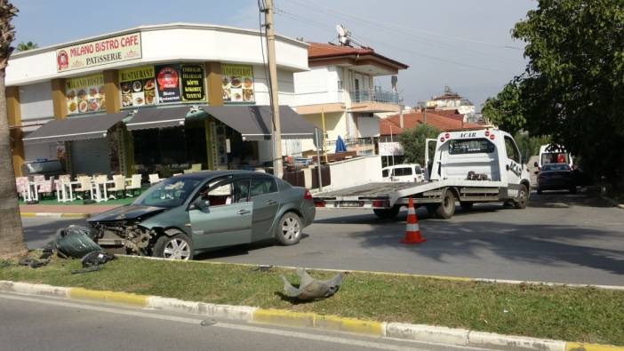 Aracın lastiği patlayınca refüjde bulunan palmiyeye çarparak durabildi
