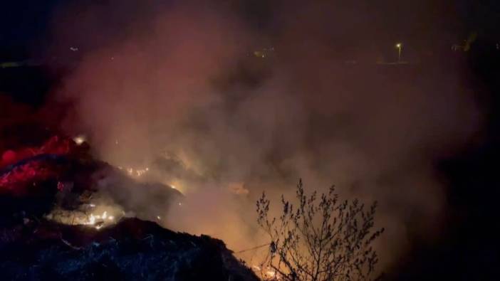 Antalya'da çıkan yangın İtfaiye'nin erken müdahalesi ile söndürüldü
