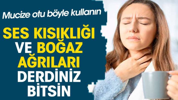 Mucize otu böyle kullanın ses kısıklığı ve boğaz ağrıları derdiniz bitsin