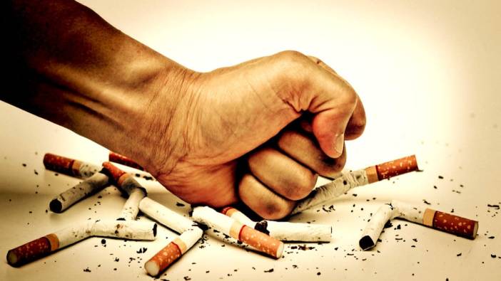Düzenli tüketildiğinde vücuttaki nikotini temizleyecek besinler ortaya çıktı