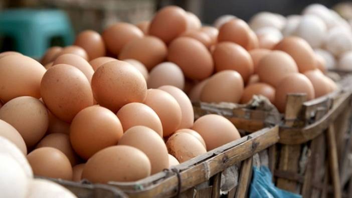 Yumurta üreticilerine 'kartel' soruşturması. Rekor ceza kesildi