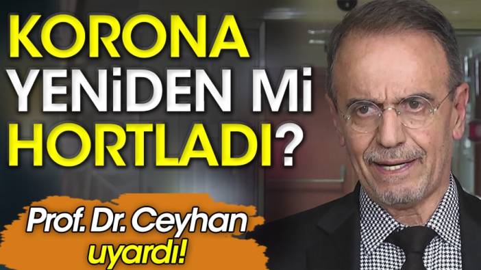 Kovid yeniden mi hortladı, Prof. Dr. Mehmet Ceyhan uyardı