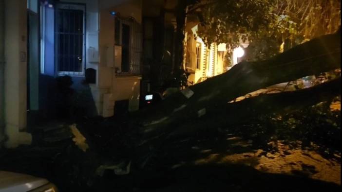 Üsküdar'da bir evin bahçe duvarına ağaç devrildi