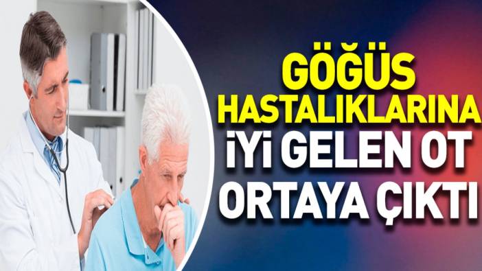 Göğüs hastalıklarına iyi gelen ot ortaya çıktı