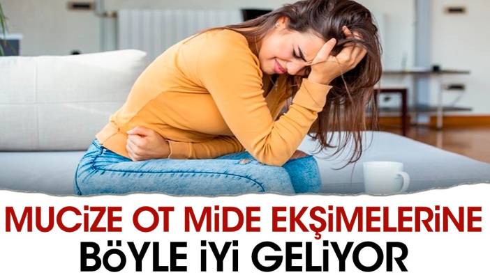 Mucize ot mide ekşimelerine böyle iyi geliyor