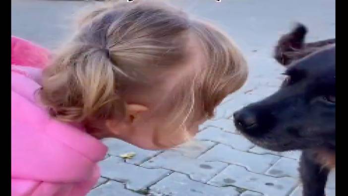 Küçük kızın sokak köpekleriyle sevgi dolu konuşması: Karnın aç mı köpek? Canım benim, bebeğim