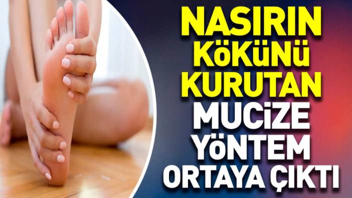 Nasırın kökünü kurutan mucize yöntem ortaya çıktı