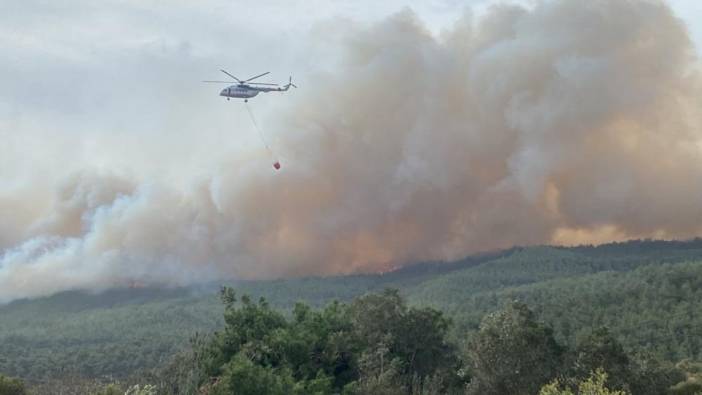 Çanakkale'de orman yangını. Bir köy boşaltıldı