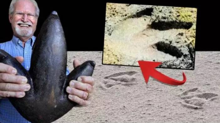 Sahildeki gizemin sırrı 40 yılda çözüldü. Üç parmaklı dev ayak izlerini görenler şoke oldu
