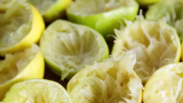 Limon posası yararlı mı