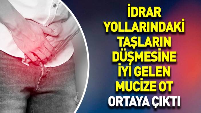 İdrar yollarındaki taşların düşmesine iyi gelen mucize ot ortaya çıktı