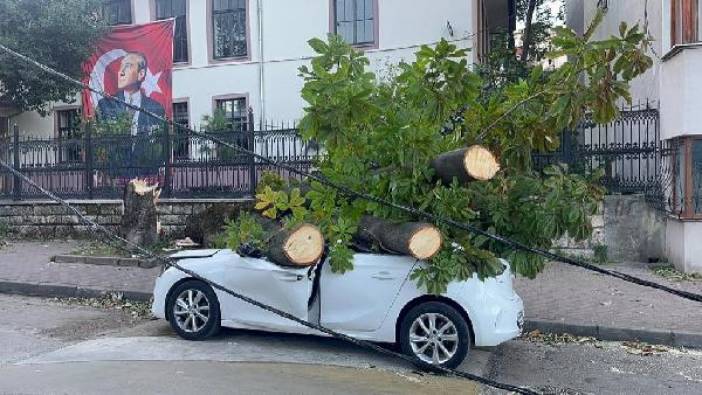 Lodos Bursa'da ağaç ve elektrik direği devirdi. 2 araç hasar gördü