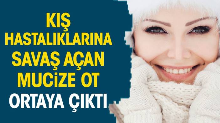 Kış hastalıklarına savaş açan mucize ot ortaya çıktı