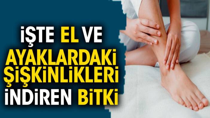 İşte el ve ayaklardaki şişkinlikleri indiren bitki