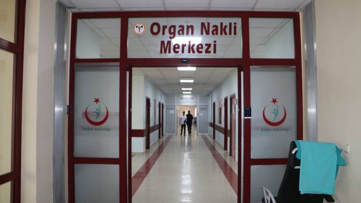 Uzmanı Türkiye’de kaç kişinin böbrek nakli beklediğini açıkladı