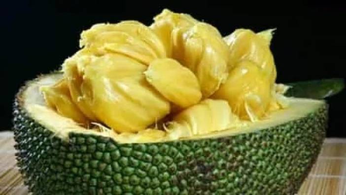 Jackfruit ne işe yarar