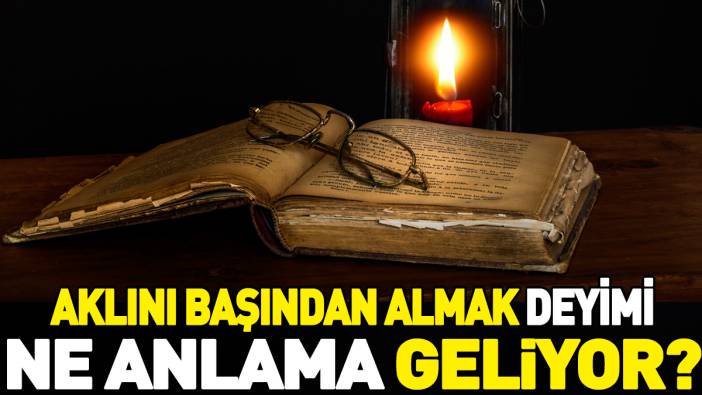 Aklını başından almak deyiminin anlamı nedir?