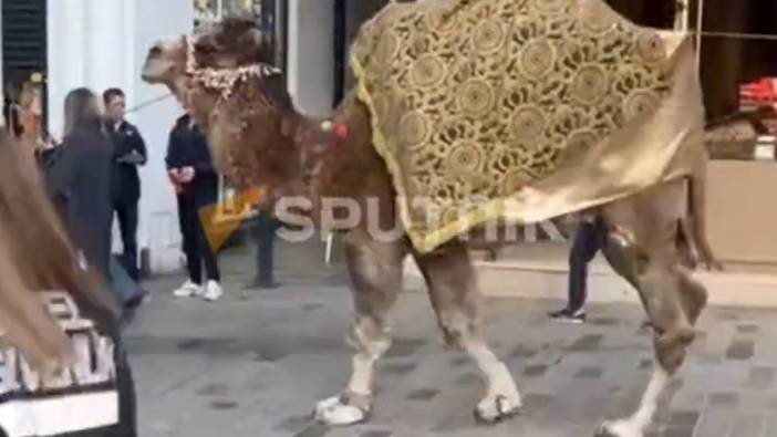 Yok artık deve. İstiklal Caddesi'ndeki görüntüler şaşkınlık yarattı