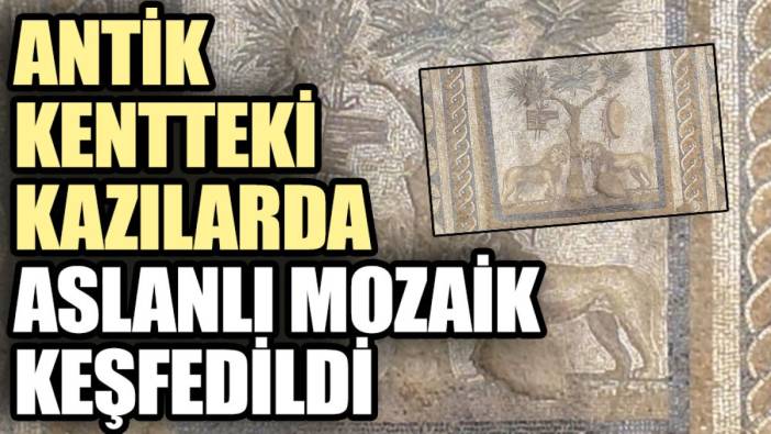 Düzce’deki kazılarda aslanlı mozaik keşfedildi