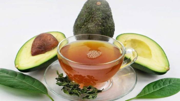 Avokado yaprağı çayının yararları neler