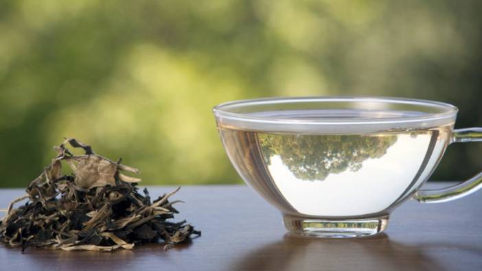 Gençlik iksiri beyaz çayın 4 önemli yararı