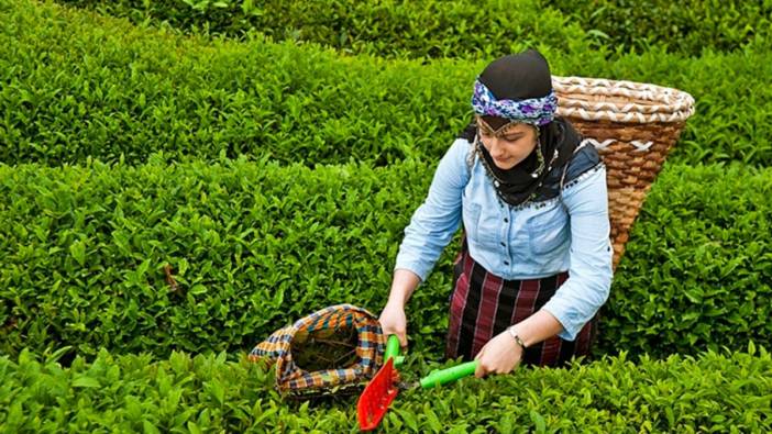 Hadi yine iyisiniz. Bozdurup bozdurup harcayın. Yaş çaya 30 kuruş fark ödemesi yapılacak