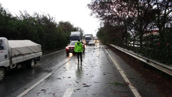 Antalya'da fırtına ağaçları devirdi karayolunda trafik aksadı