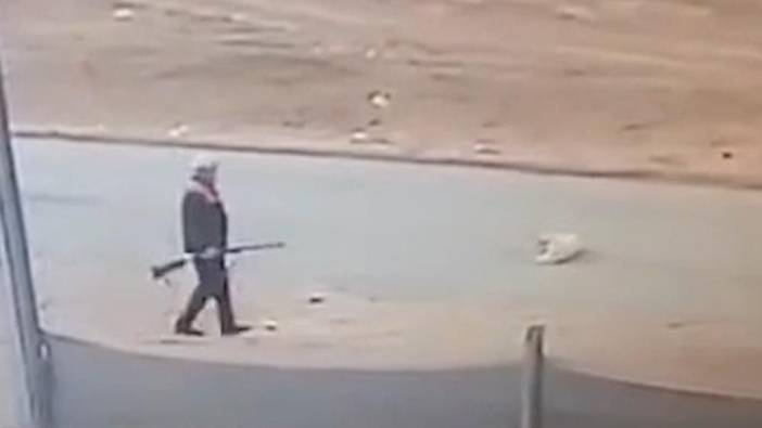 Sokak köpeğini av tüfeğiyle öldüren kişi serbest bırakıldı