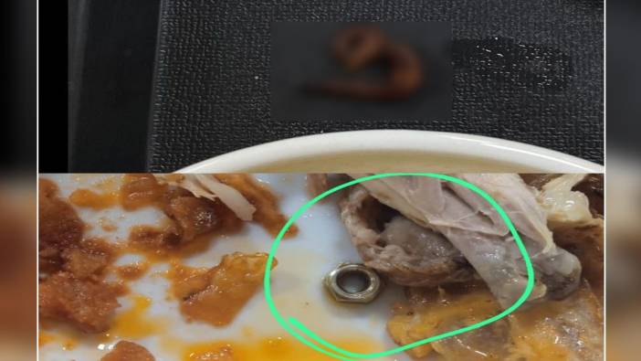 KYK yurdunda 'yemekten böcek çıktı' iddiasına soruşturma