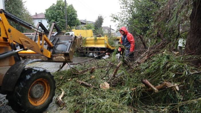 Düzce’de fırtınaya ağaçlar dayanamadı devrildi