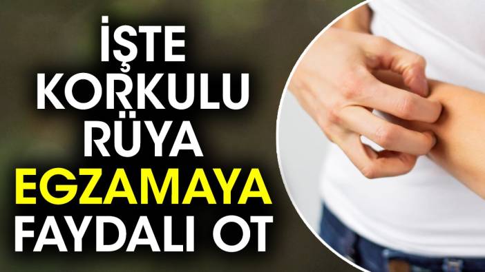 İşte korkulu rüya egzamaya faydalı ot