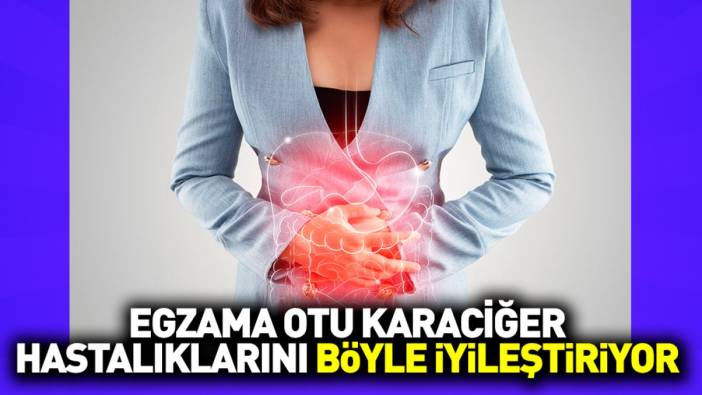 Egzama otu karaciğer hastalıklarını böyle iyileştiriyor