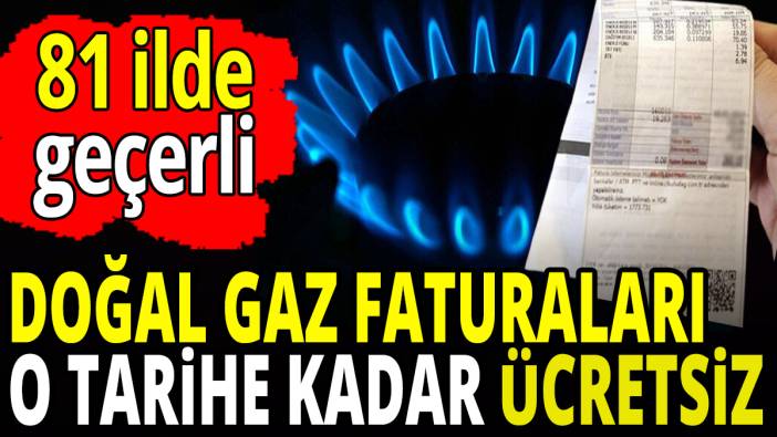 Doğal gaz faturaları o tarihe kadar ücretsiz '81 ilde geçerli'