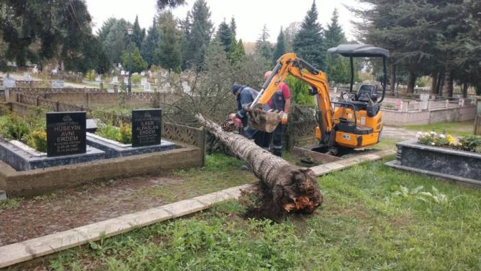 Zonguldak’ta şiddetli fırtına: 200’e yakın ağaç devrildi, 300 mezar hasar gördü