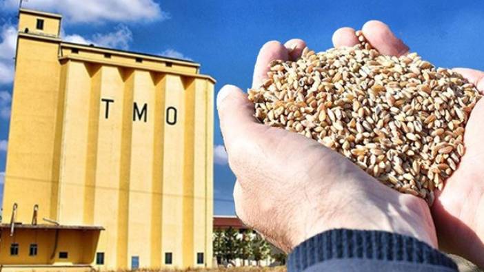 TMO'nun deposundan 300 kamyon buğday çalındı. Buhar olan 7 bin 500 ton buğday için TMO "bir miktar ürün kayboldu" dedi