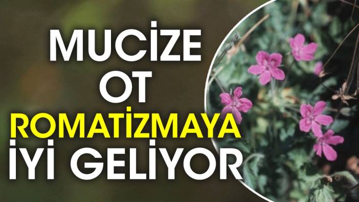 Mucize ot romatizmaya iyi geliyor