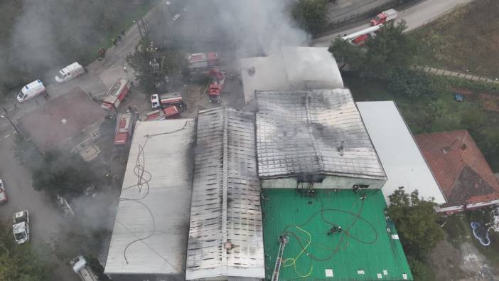 Bursa’da bir tesiste yangın çıktı