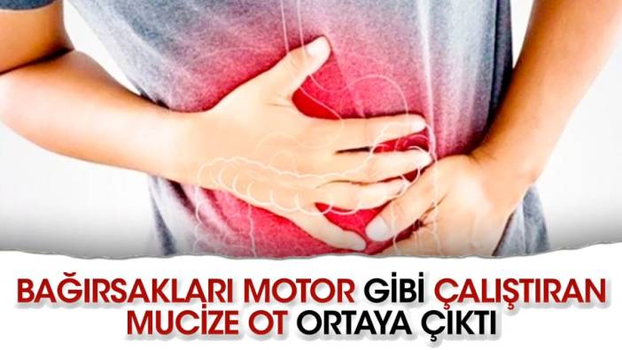 Bağırsakları motor gibi çalıştıran mucize ot ortaya çıktı