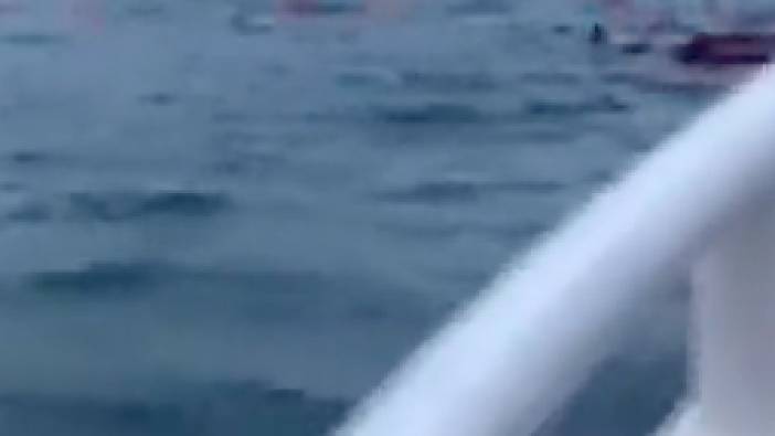 Kadıköy-Beşiktaş vapurundan denize düştü