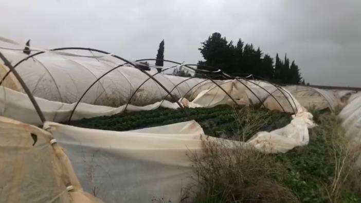 Antalya’da şiddetli yağmur ve fırtına çilek seralarına zarar verdi