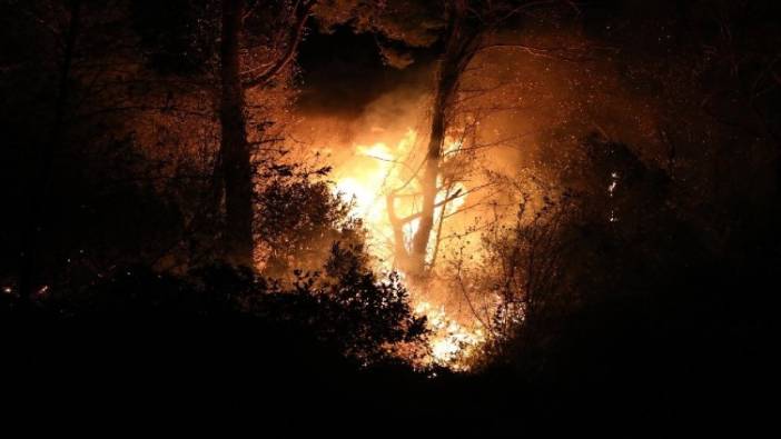 Trabzon'da şiddetli fırtına sonrası 5 ilçede yangın çıktı